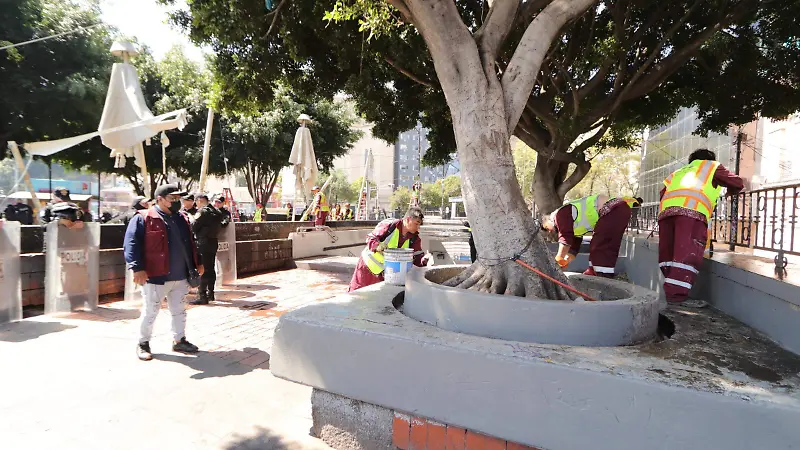 Plaza de la Información  (2)